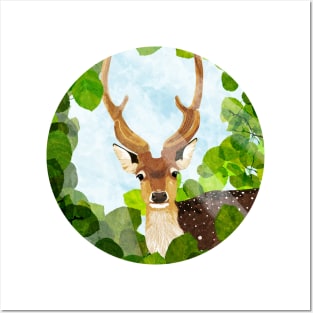 fallow deer Posters and Art